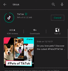 Re-Install Tiktok to fix TikTok Not Showing Your Videos To Others